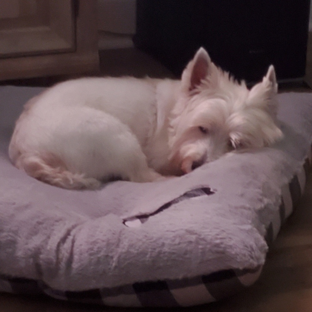 Meet your Posher, Valerie